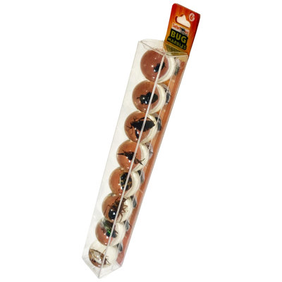 GEOW World Bug Marbles