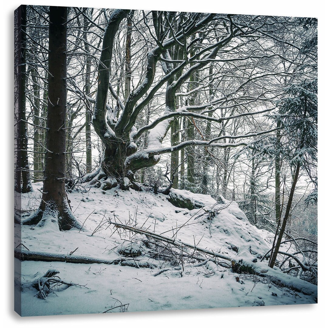 Leinwandbild Wundervoller Wald mit Schnee bedeckt