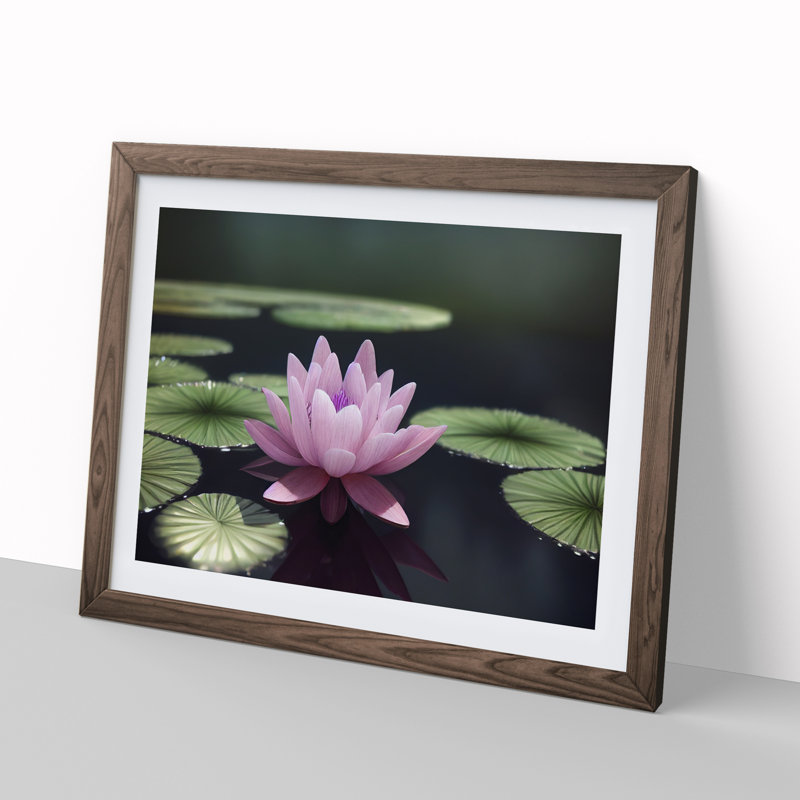 Expressive Water Lily Flower - Single Picture Frame Print, 25cm H x 34cm W x 2cm D, Walnut
