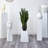 Sansevieria Silk Plant with Black Planter