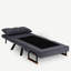 Biggins 1 Seater Sofa Bed-9837228