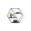 Jadee 3 Piece Hexagon Metal Tiered Shelf-1826142592