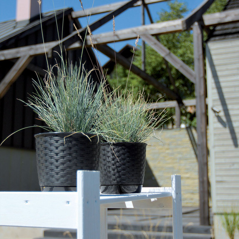 Petty Pot Planter, Anthracite, 13 cm H x 15 cm W x 15 cm D