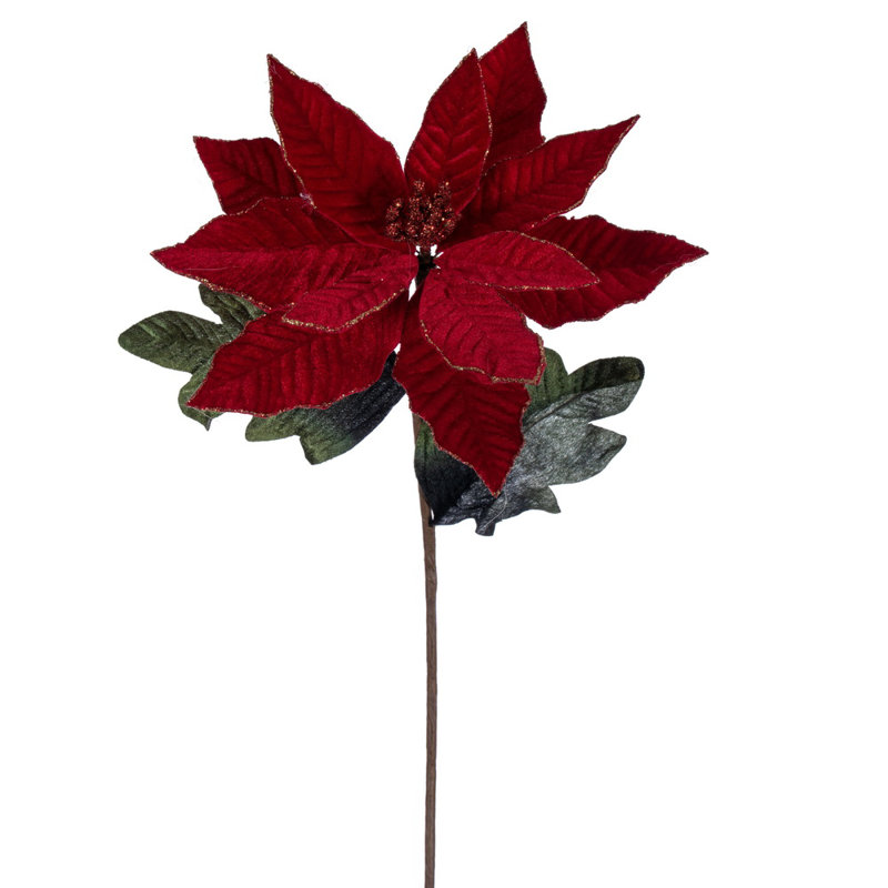 Poinsettia Arrangement