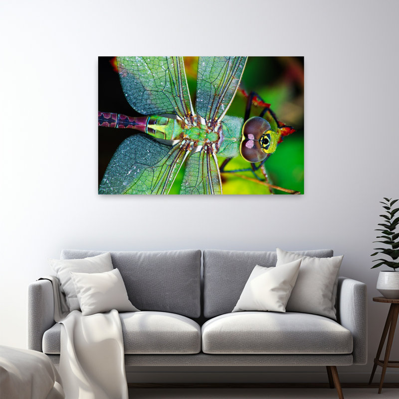 Libellule Darner, H 32 po x l 48 po