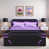Black/Purple