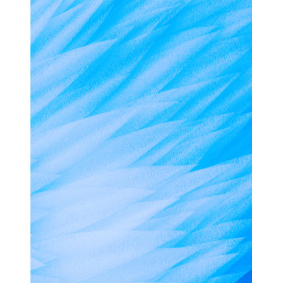 Murale Yanis Blue Angel Wings