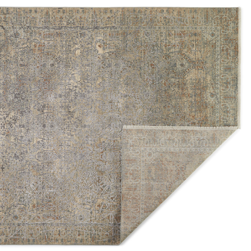 Alphe Oriental Area Rug, Rectangle 240 x 340cm