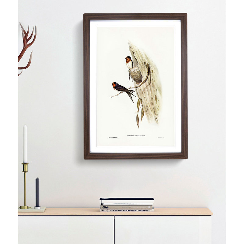Welcome Swallows by Elizabeth Gould - Framed Print, 48cm H x 36cm W x 2cm D, Walnut Framed
