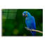 «Lark Manor ™» par Jonathan Ross, art mural en verre acrylique, 16 po x 12 po-1012163715
