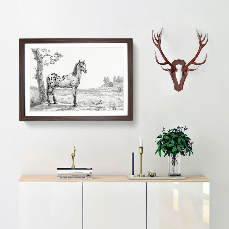 Mottled Horse by Jean Bernard - Picture Frame Drawing Print, 27cm H x 36cm W x 2cm D, Walnut Framed