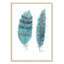 «Feathers in Turquoise II», art encadré-47533817-47566109