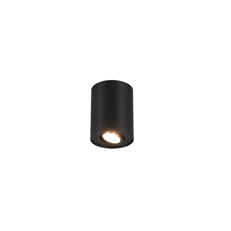 Dewitt 1-Light Flush Mount, Matte Black