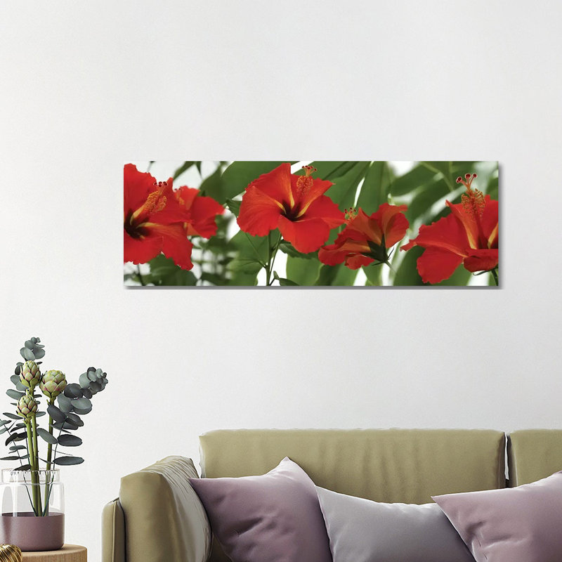 Close-Up of Red Hibiscus Flowers 1 Piece Wrapped Canvas Panoramic Wall Art, 121.92 cm H x 40.64 cm W x 3.175 cm D