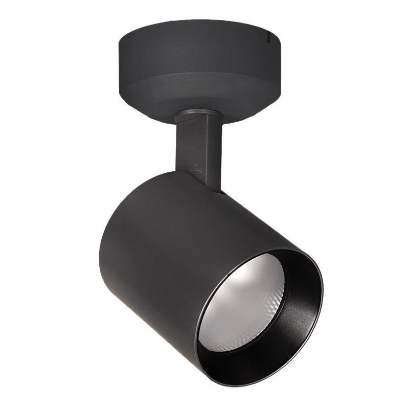 Lucio Outdoor Security Spot Light, 2700K/90 CRI, Black, Narrow