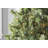 50.5' 100-Light String Lights-31889552