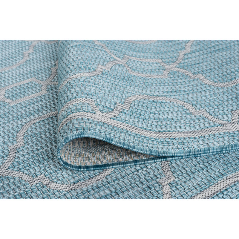 Speegle Indoor / Outdoor Rug, Runner 2'3" x 10'