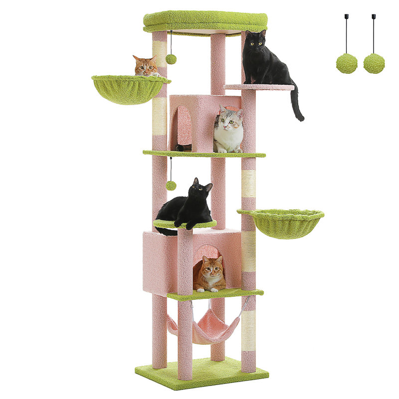 Arbre à chat, Rose / Vert