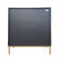 2 Doors, 1 Drawer Bathroom Cabinet In Black + Blue Lacquer - Adjustable Shelf, Material Storage With Shelf Thought