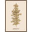 "Oh Tanenbaum (beige)" par Kubistika, reproduction d'art sur toile encadrée-731290308