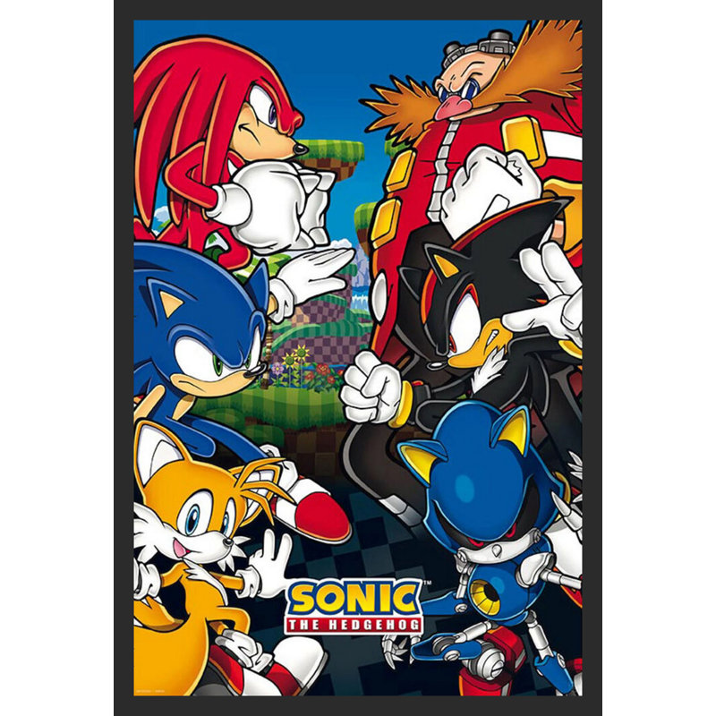 " Sonic The Hedgehog - Group "