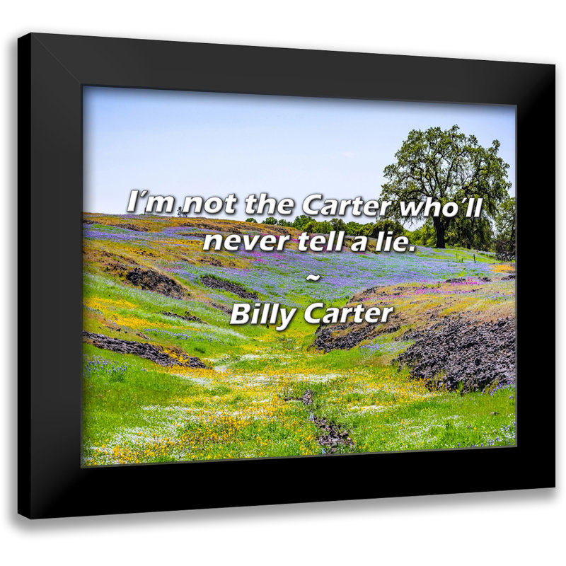Billy Carter Quote: I’m not the Carter who’ll never tell a lie.