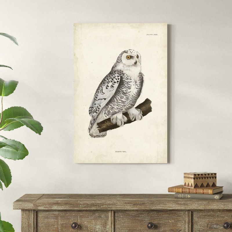 " Snowy Owl " Mixed Media Print, 30" H x 20" W x 1" D
