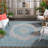 Amedee Performance Oriental Indoor/Outdoor Area Rug-22825425