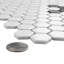 Metro 1" Hex Matte White with Snowflake 10-1/4" x 11-7/8" Porcelain Mosaic Tile