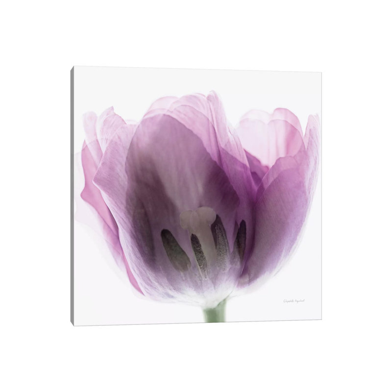 Inside Out I by Elizabeth Urquhart - Wrapped Canvas Painting, 30.48 cm H x 30.48 cm W