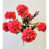 Rose est en rupture de stock