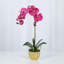 Silk Orchid Plant In White Vase-1870534633-1870534632