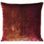 Velvet Throw Pillow-1712364726-1737274353