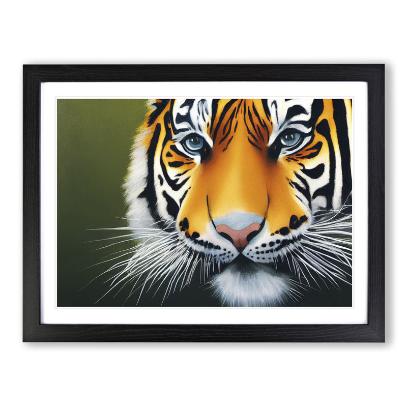 Amazing Tiger - Single Picture Frame Print, Black Framed, 46cm H x 64cm W x 2cm D