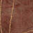 Arnim Floral Indoor Rug-1490734555