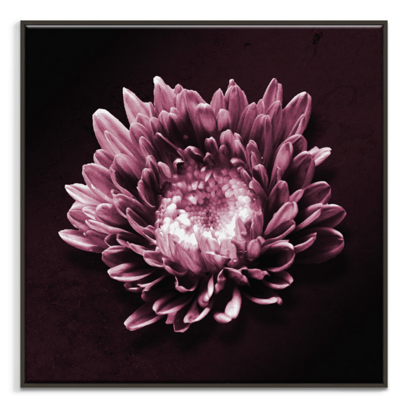 Print on Canvas, Black Floater Frame, 102cm H x 102cm W