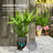 Kise Pot Planter-323524642-322665829