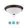 Essentials Glass LED Flush Mount