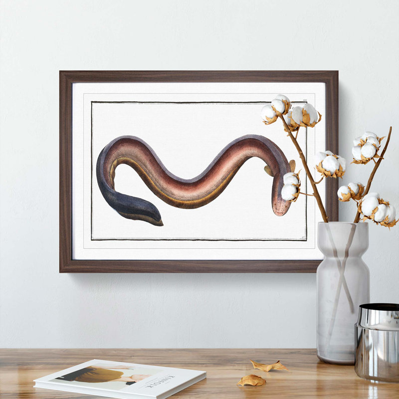 Electric-Eel by M.E. Bloch - Picture Frame Painting Print, 48cm H x 65cm W x 2cm D, Walnut Framed