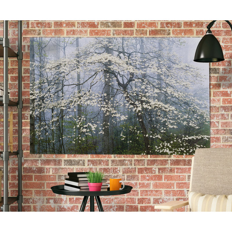 « jones dogwood auvent », impression, H 12 po x l 18 po x P 1,5 po, Toile tendue