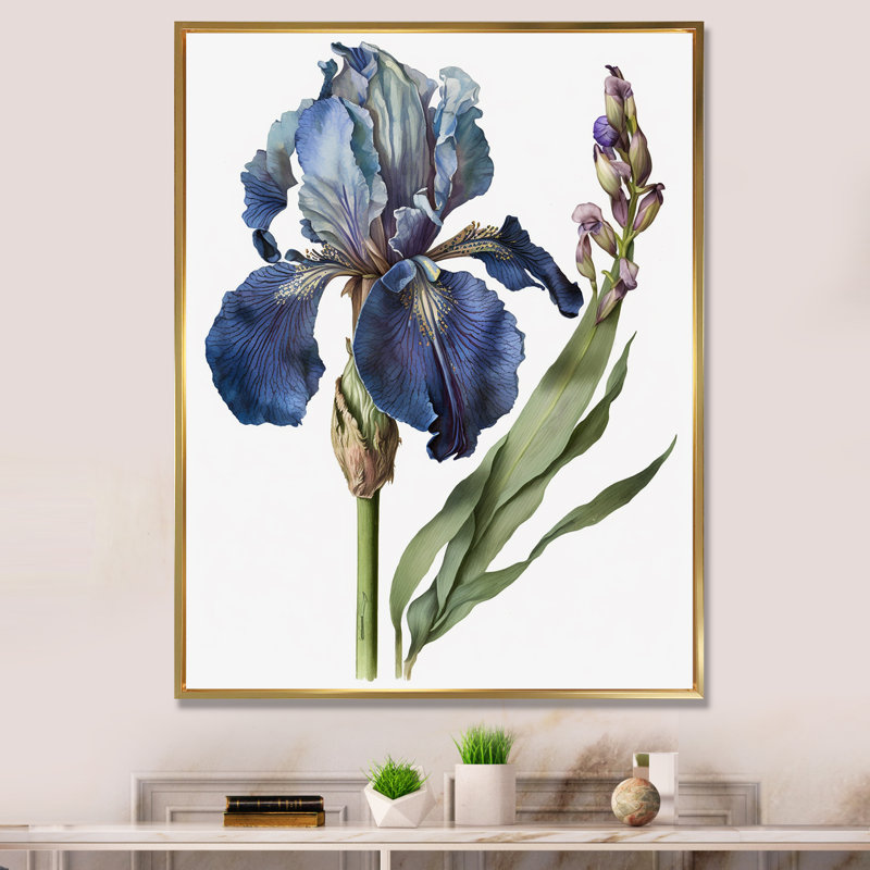 Iris bleu, illustration botanique sur toile, Cadre flottant doré, H 32 po x l 16 po x P 1 po