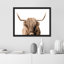 "Portrait de vache Shetland brune et blanche à deux tons" sur papier-98265843-98265842