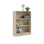 Konata 107.2 cm H x 79 cm W Standard Bookcase