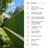 Angora Grass Fence-102186596