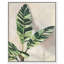 Jolies plantes I - Impression sur toile-77343989-77343992