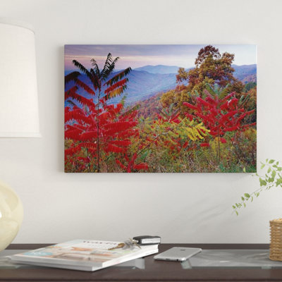 " Staghorn Sumac In Autumn, Blue Ridge Mountain Range, Virginia " Color Photography Print