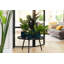 Pot Planter-69444362-69444364