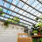 Solid Wood Pergola-98232439-98232440