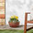 Myrie Pot Planter-1851755111-1851755104