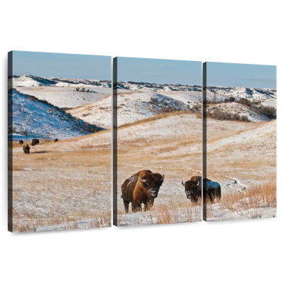 Alvord Buffalo en hiver